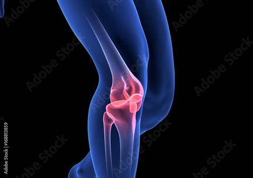 Knee Pain. Blue Human Anatomy Body 3D render on black background