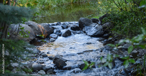 Peaceful Mountain Stream