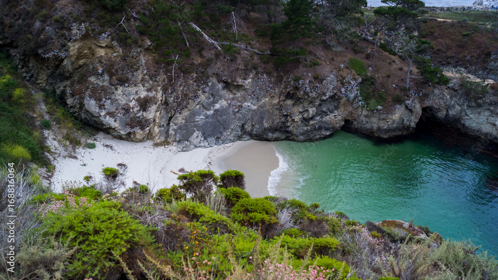 Point Lobos, CA - Cove