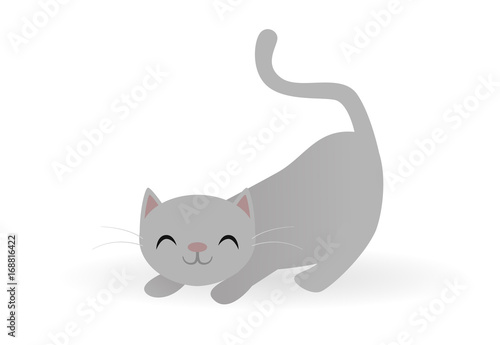 Cute gray cat stretching