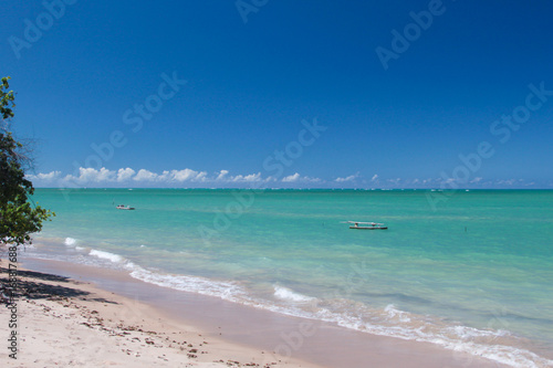 Bright scenic view of holiday paradise  northeast beach of Brazil  Alagoas state.