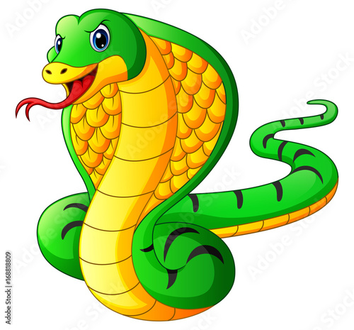 Cobra snake cartoon