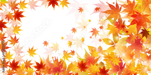 紅葉　秋　風景　背景