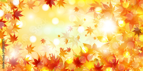 紅葉　秋　風景　背景