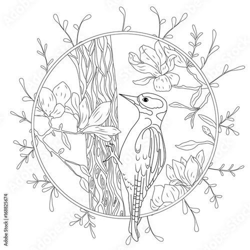 stylized cartoon woodpecker on tree branch. Hand drawn sketch for adult antistress coloring page