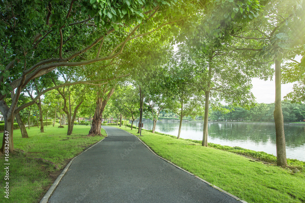 Green city public park