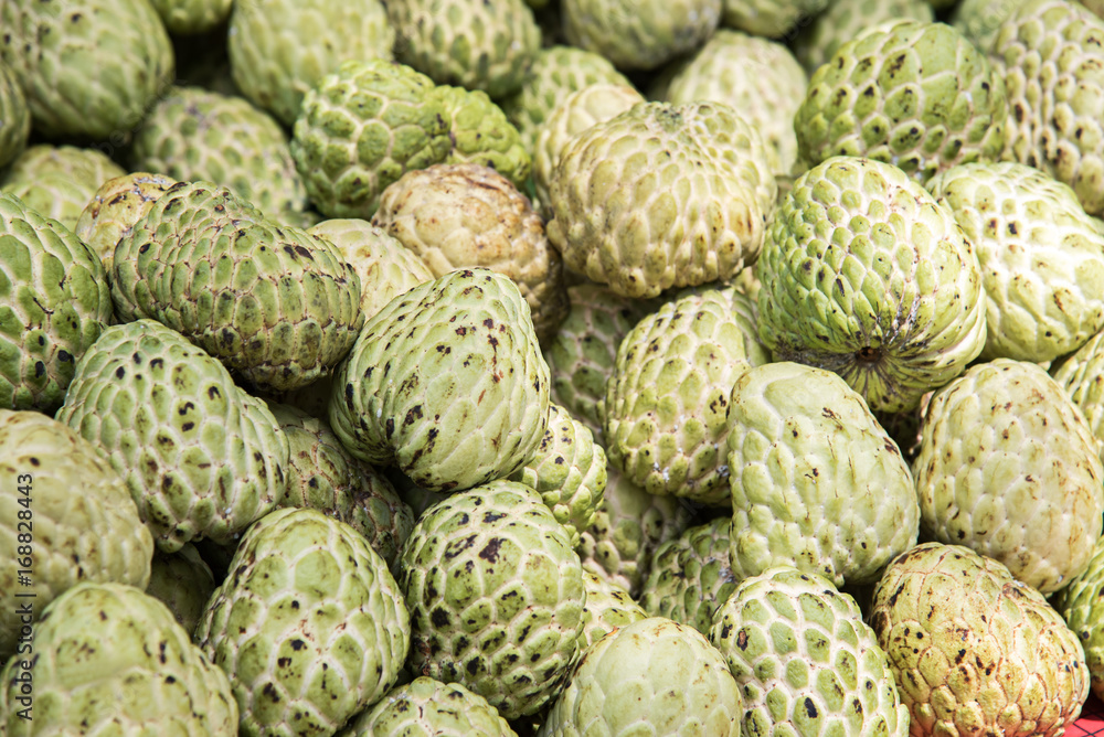 custard apple custard apple
