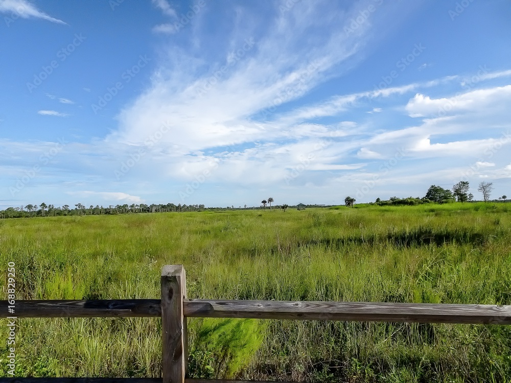 looking through a wooden fence at the Everglades