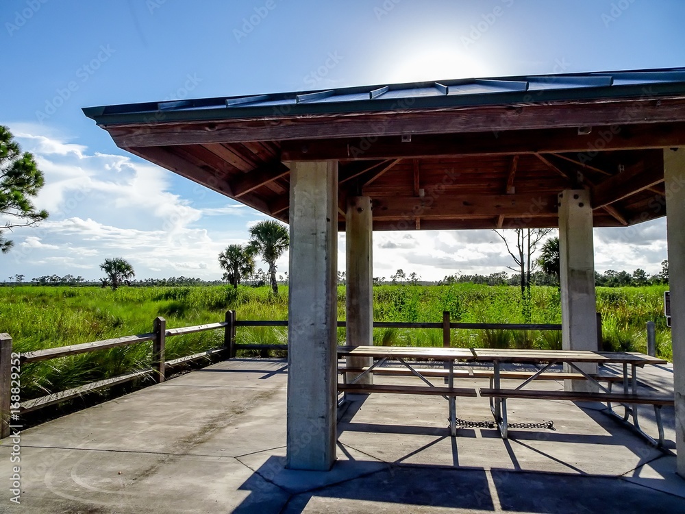 Pine Glades Natural Area in Florida Swamps Pine Glades Natural Area in Florida Swamps