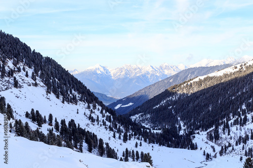 Mountain panorama and trees with snow in winter in Stubai Alps  Austria