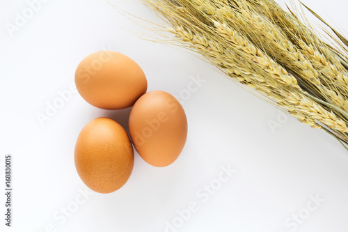 Fresh eggs and wheat  on a ...