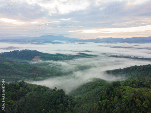 Landscape of misty mountain forest covered hills at khao khai nui © Sunanta