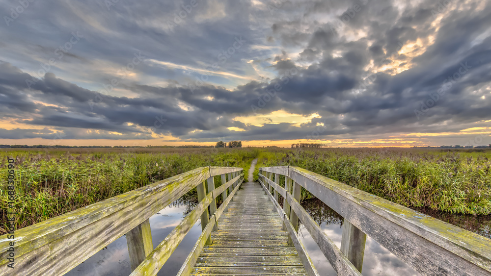 Wooden bridge on Walking track