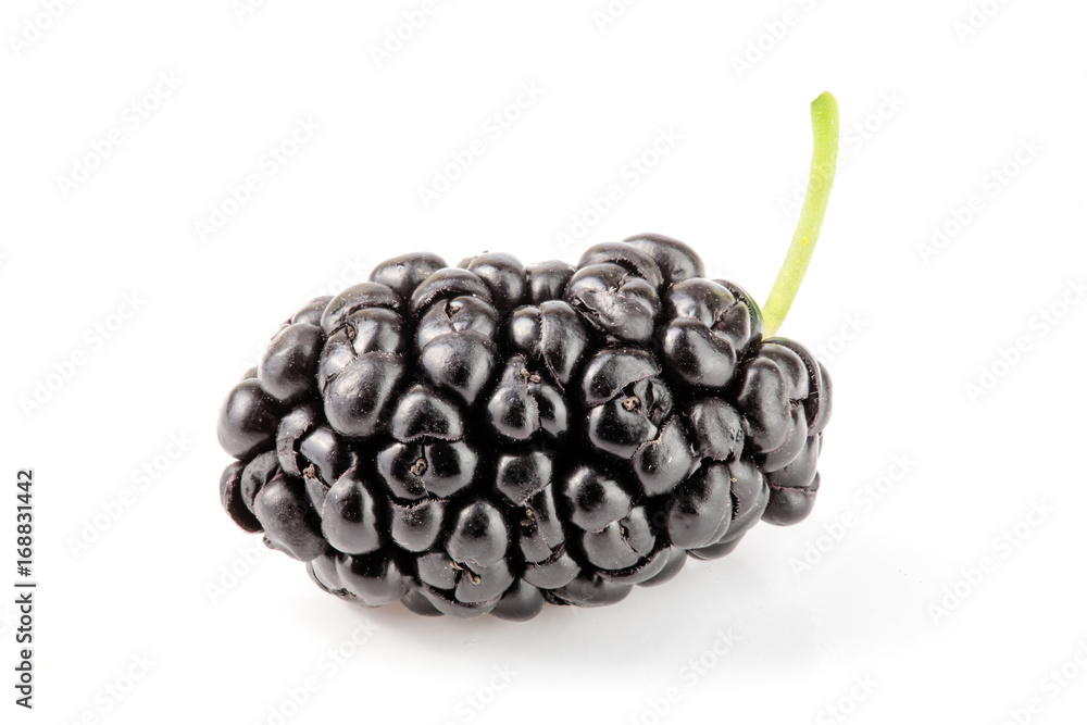 Mulberry berry isolated on white background macro Mulberry berry isolated on white background macro