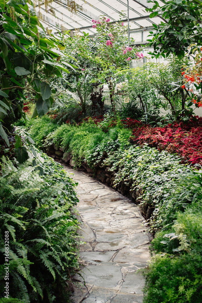 Stone path in botanical garden greenhouse with many green trees, plants and colorful flowers. Nature ecology background.