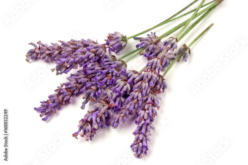 Bunch of lavender isolated on a white background