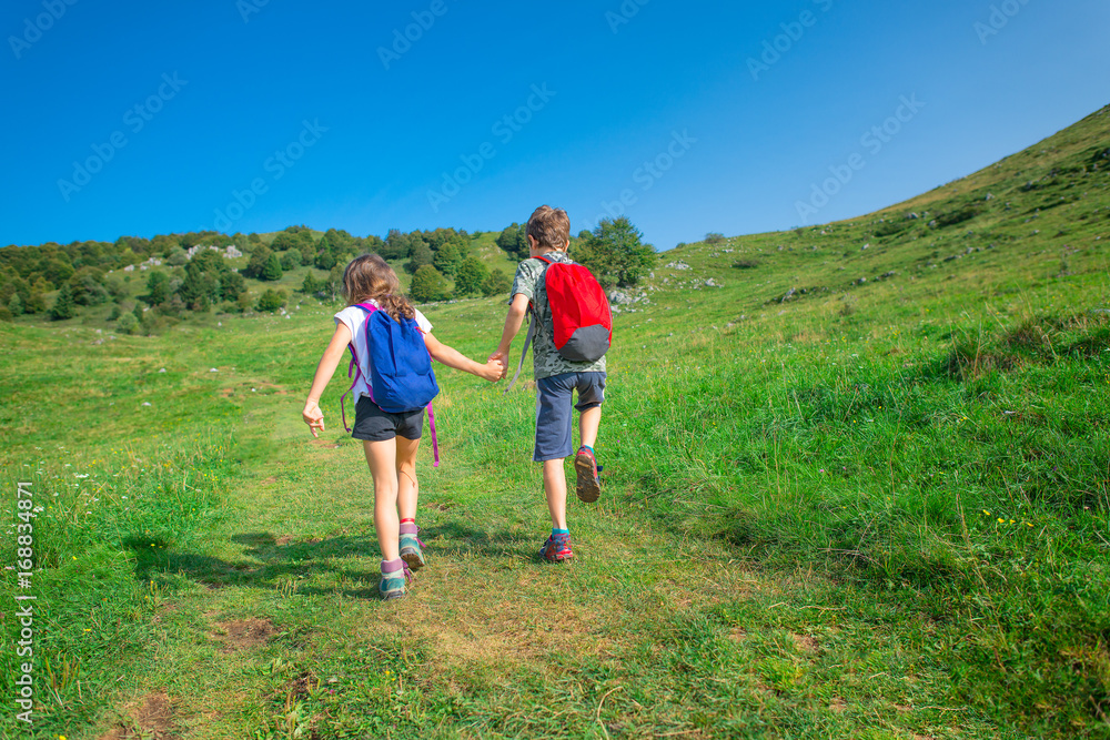 Children are holding hands while hiking in the mountains