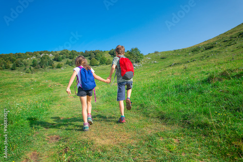 Children are holding hands while hiking in the mountains