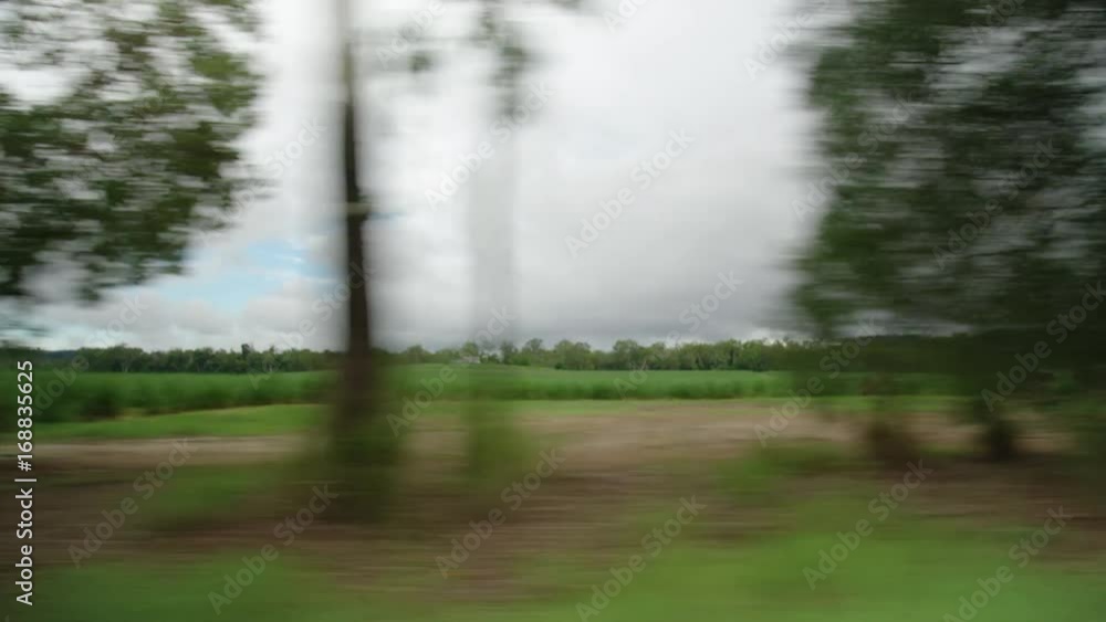 A wide shot of the sky and trees while panning to the right. A wide shot of the sky and trees while panning to the right.
