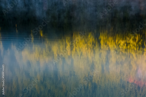 lake surface reflecting spruce forest