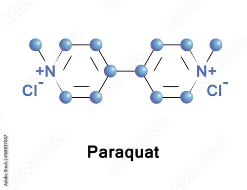 Paraquat organic viologen