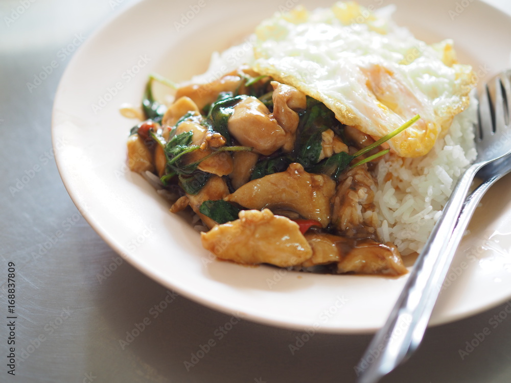 Thai local traditional stir fried spicy chicken with holy basil leaf, and sunny side up egg, close up perspective Thai local traditional stir fried spicy chicken with holy basil leaf, and sunny side up egg, close up perspective