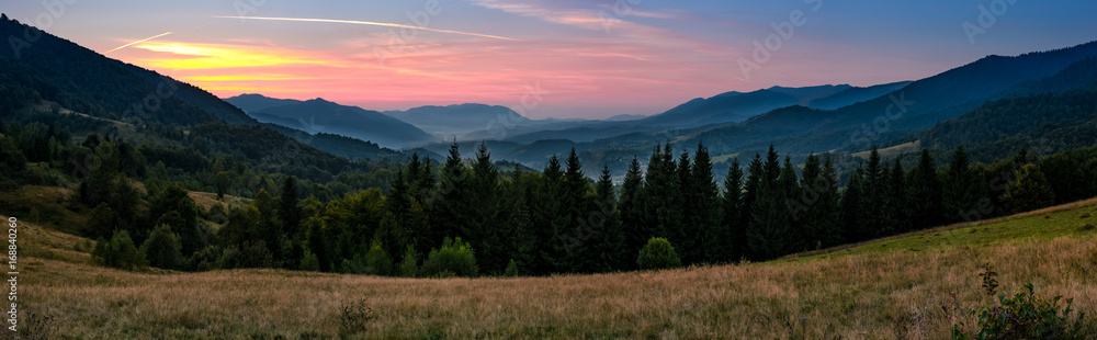 beautiful panoramic landscape with spruce forest in mountains. lovely scenery with reddish sky over the valley at dusk in early autumn - obrazy, fototapety, plakaty 