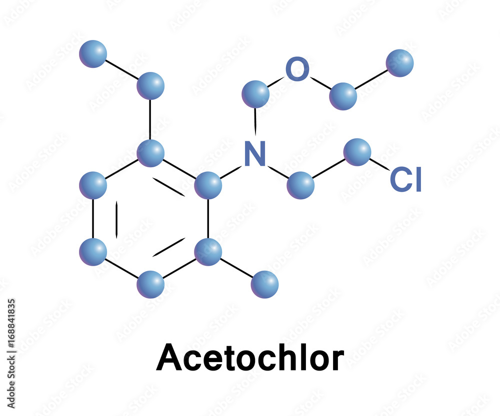 Acetochlor is an herbicide It is a member of the class of herbicides known as chloroacetanilides Acetochlor is an herbicide It is a member of the class of herbicides known as chloroacetanilides