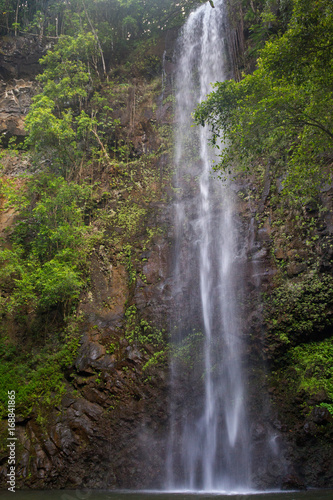 Wasserfall im Urwald in der N  he des Wailua River auf Kauai  Hawaii  USA.
