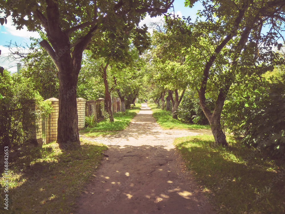 Alley in the park in the shade of a tree. Countryside landscape. Vintage toning Alley in the park in the shade of a tree. Countryside landscape. Vintage toning