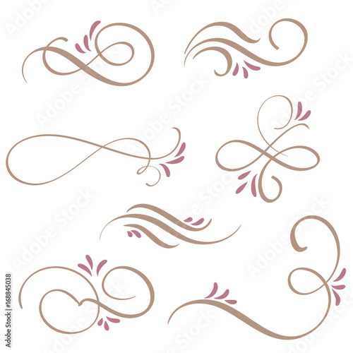 set of calligraphy flourish art with vintage decorative whorls for design. Vector illustration EPS10
