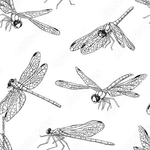 Seamless pattern with different dragonfly. Vector black and white illustration.