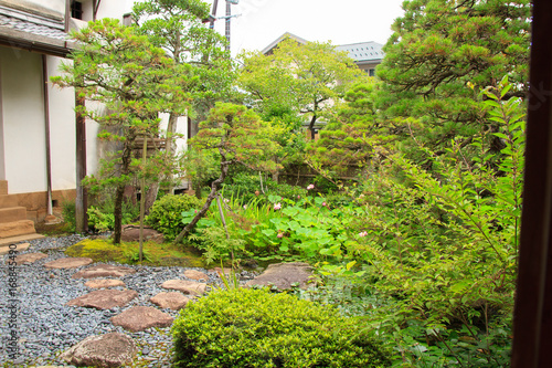 Fototapeta Naklejka Na Ścianę i Meble -  Japanese traditional garden of an old house at Matsue city in Shimane, Japan
