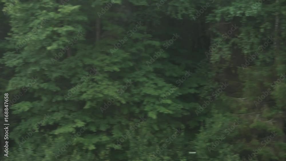 Landscape, view of trees and forest from the window of a train on the motion, nature.
Landscape, view of trees and forest from the window of a train on the motion, nature.