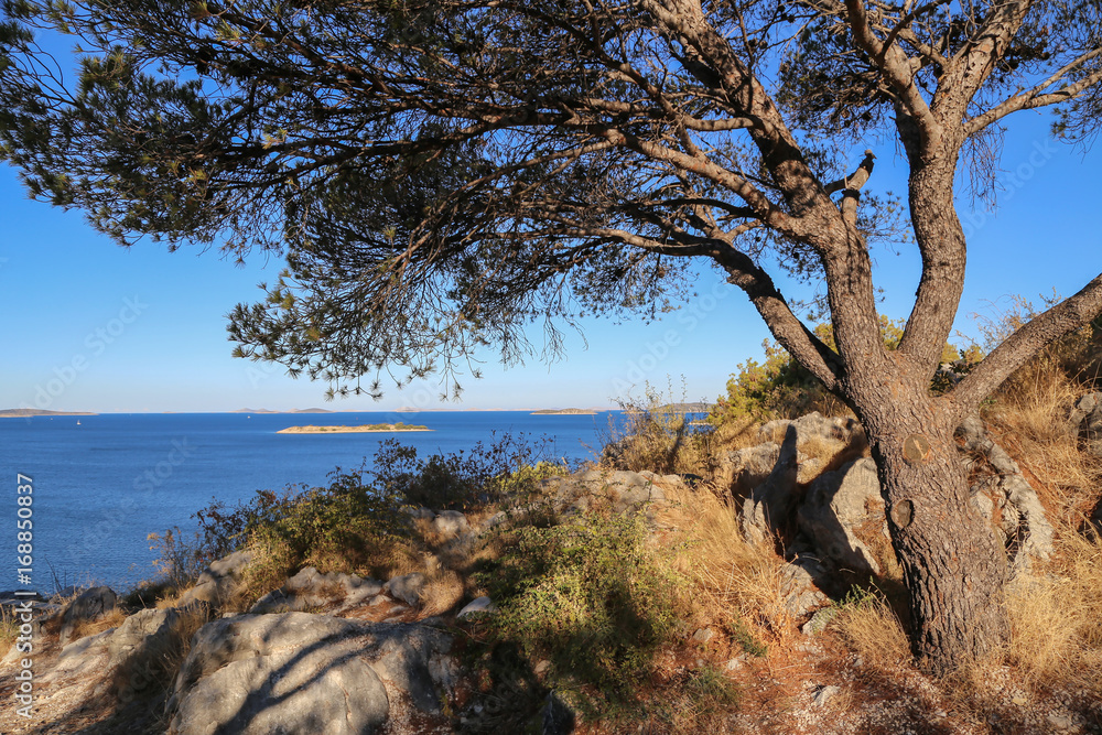 Coast of the Adriatic Sea