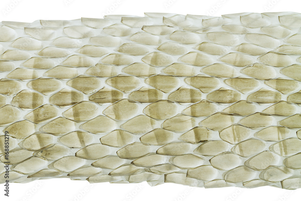 Naklejka premium Macro shot of snake skin shedding texture,boa, on white background