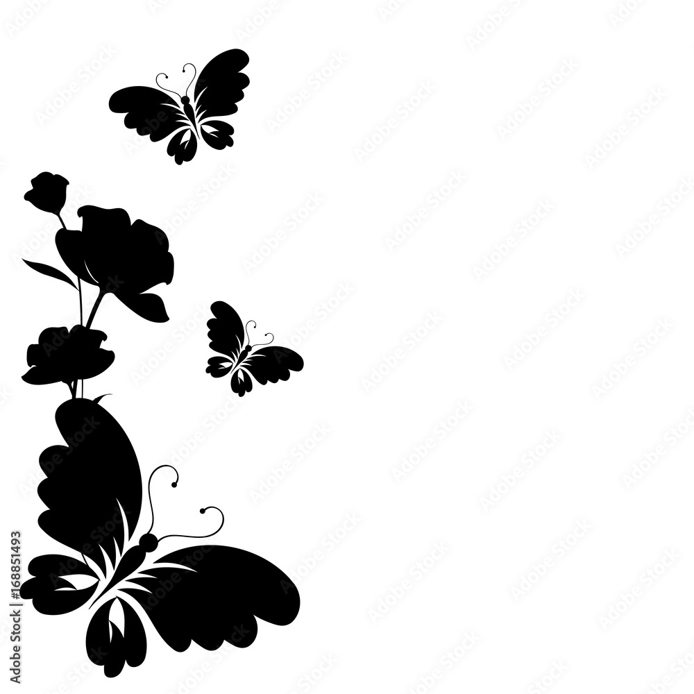 black butterfly, isolated on a white black butterfly, isolated on a white