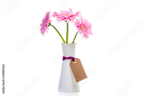 rosa gerbera i vit vas isolerat mot vitt med tom etikett för egen text