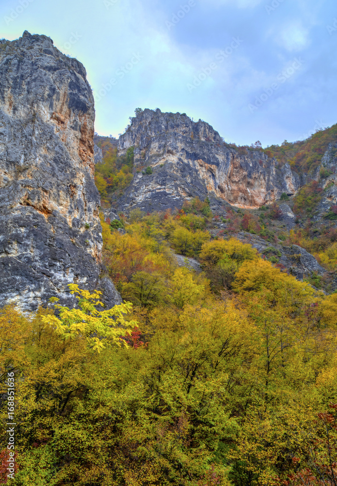 Beautiful landscape in the mountain with colorful autumn forest Beautiful landscape in the mountain with colorful autumn forest