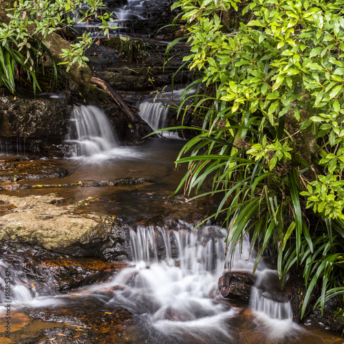 Twin Falls waterfall located in Springbrook National Park.