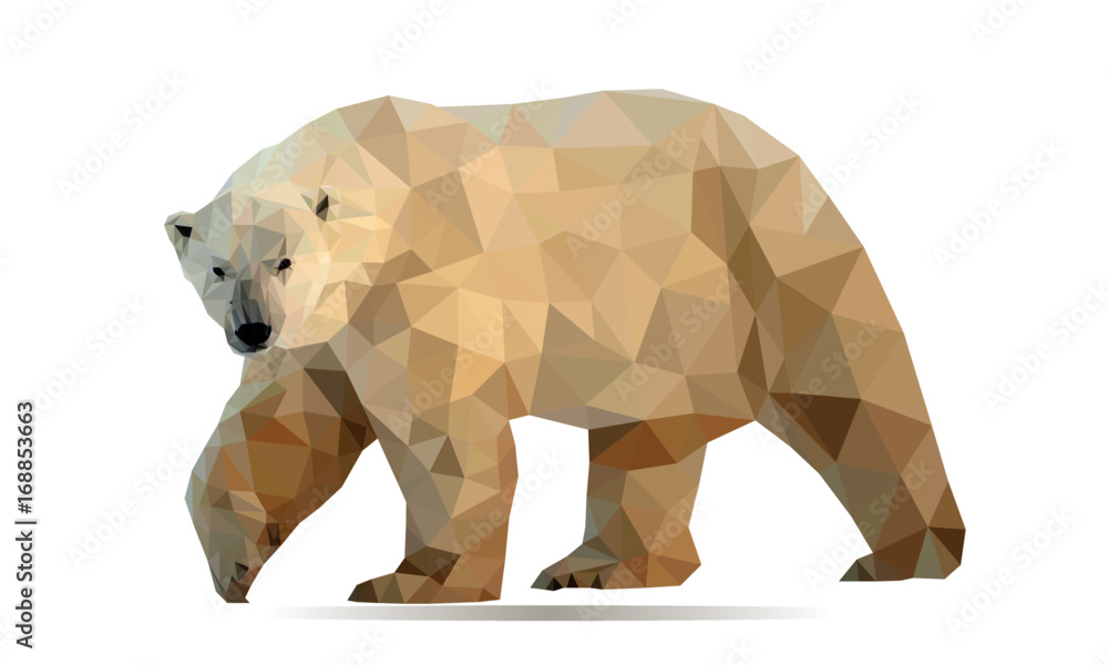 Fototapeta premium White bear
