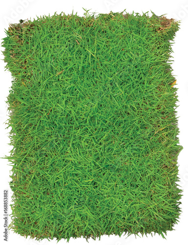 Green Grasses Arena Isolated On White background