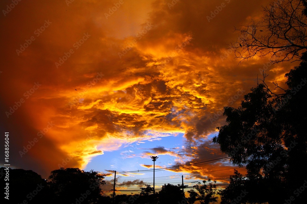 Background of orange sky and clouds in the early mornig with silhouette of trees