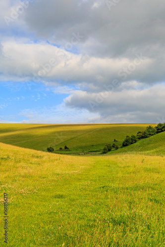 The South Downs