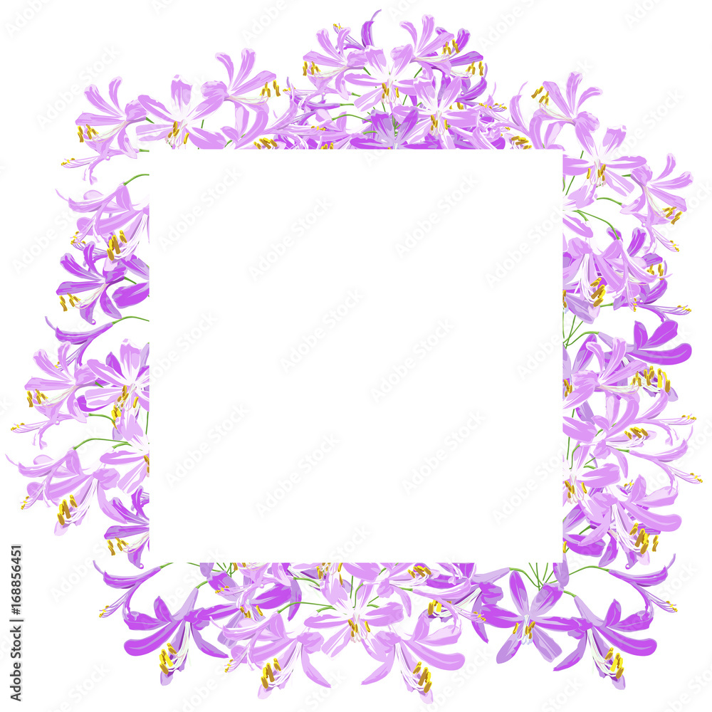 The agapanthus flower for frame. The purple flower on the square is vector illustration. The agapanthus flower for frame. The purple flower on the square is vector illustration.