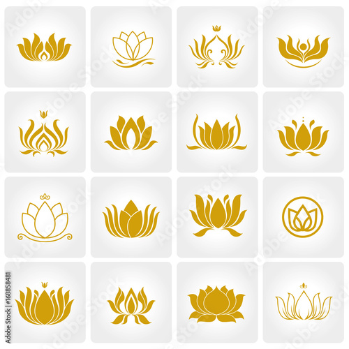 lotus logo photo