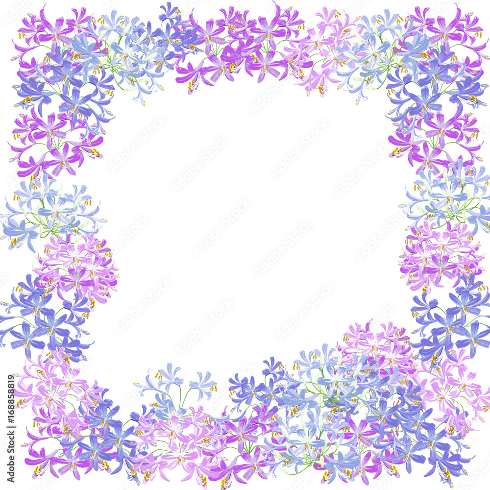 The agapanthus flower for frame. The flower on the square is vector illustration. 