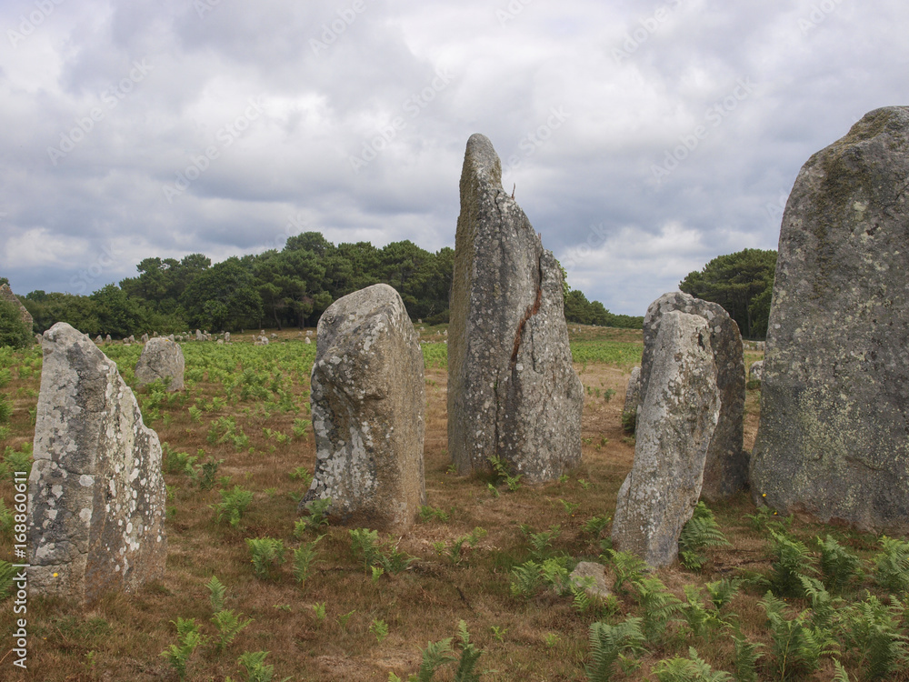 Alineamientos de Carnac / Alignments of Carnac. Bretaña. Francia