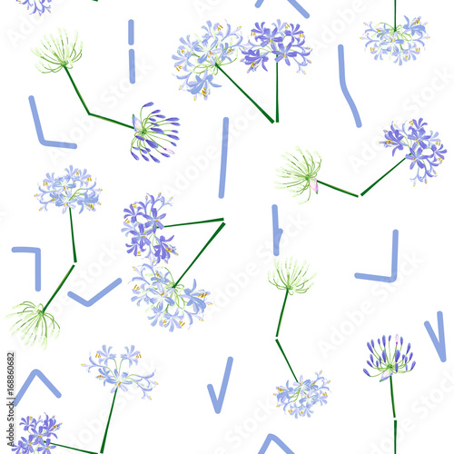 Fototapeta Naklejka Na Ścianę i Meble -  The agapanthus flower is time. Blue flower clock is vector for seamless, pattern and background. this is agapanthus flower collection.