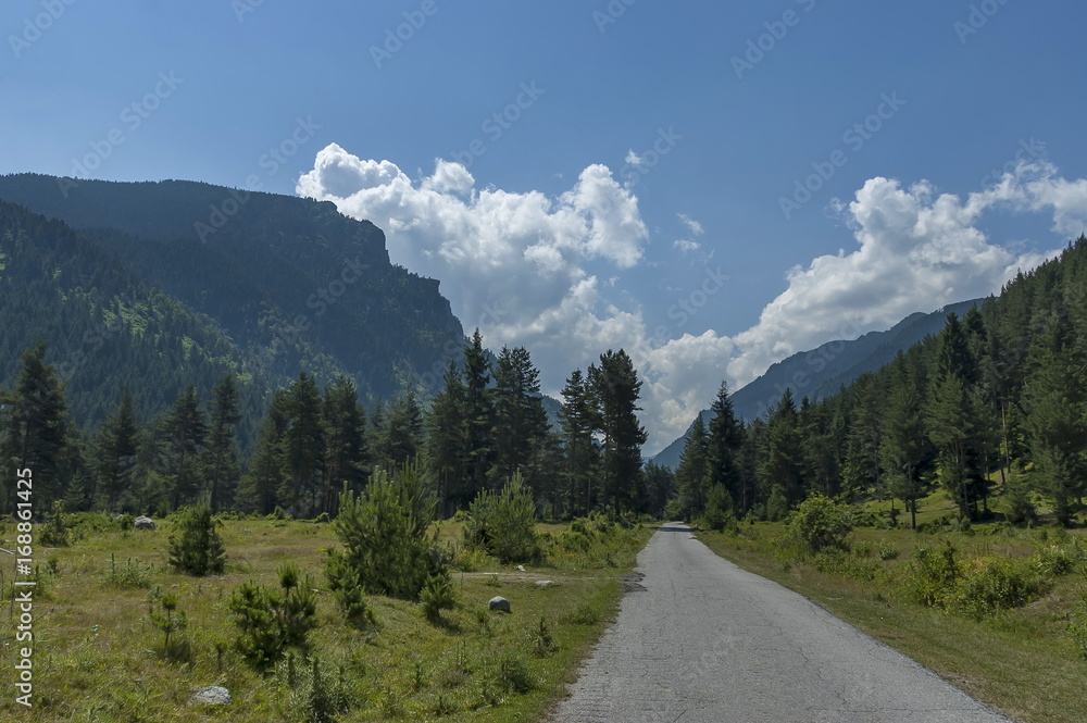 Majestic mountain top overgrown with coniferous forest, valley, glade and road, Rila mountain, Bulgaria  
